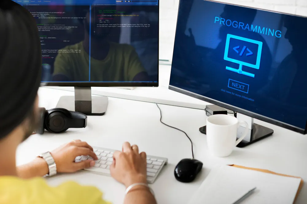 Software & Hardware Development