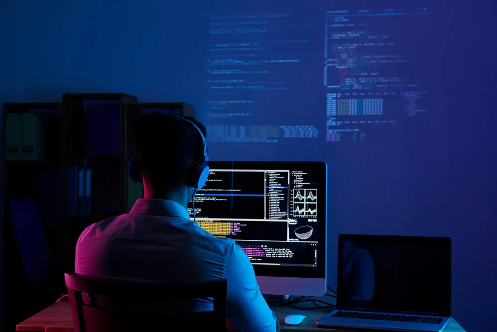 Software Maintenance