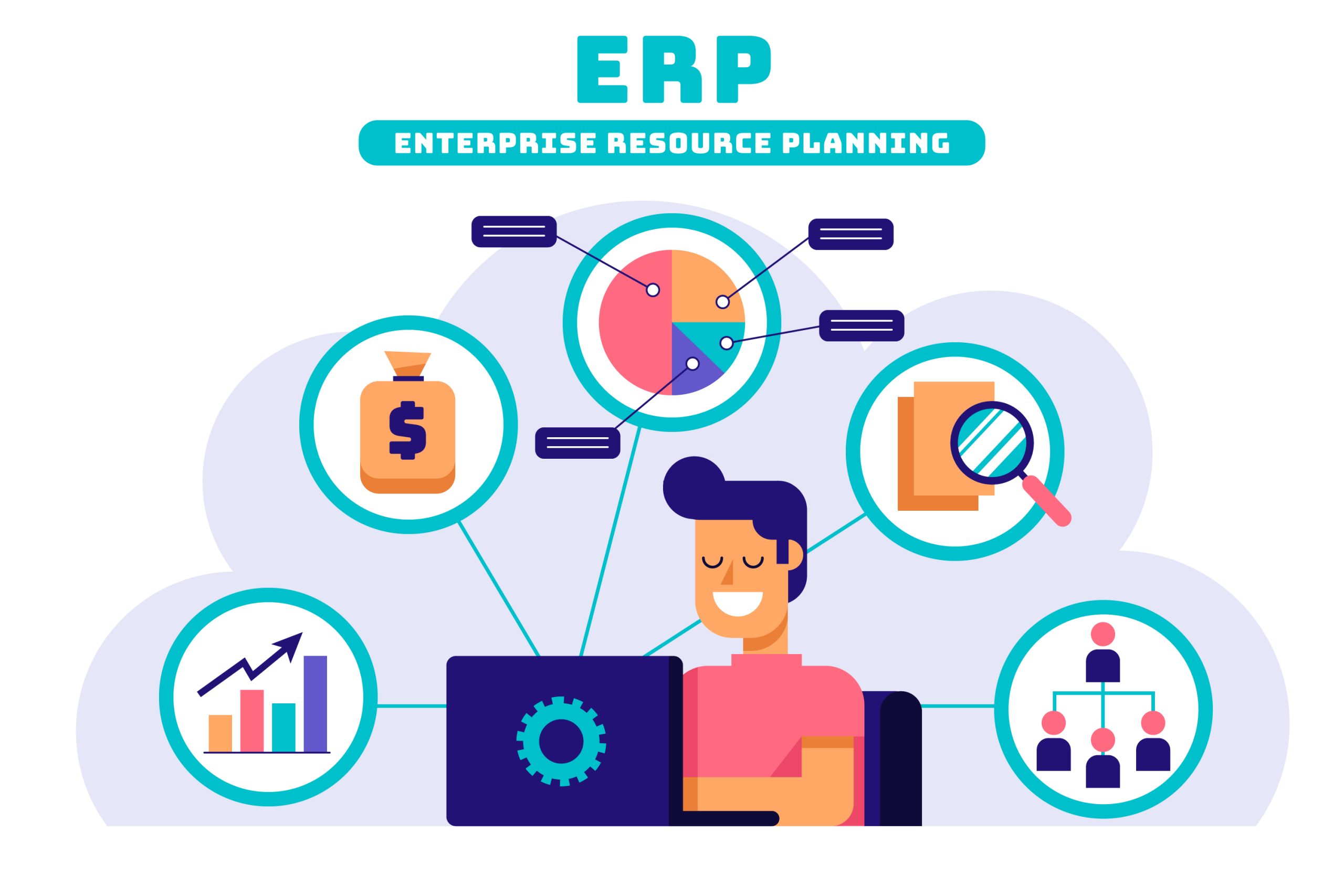 ERP implementation and enhancements